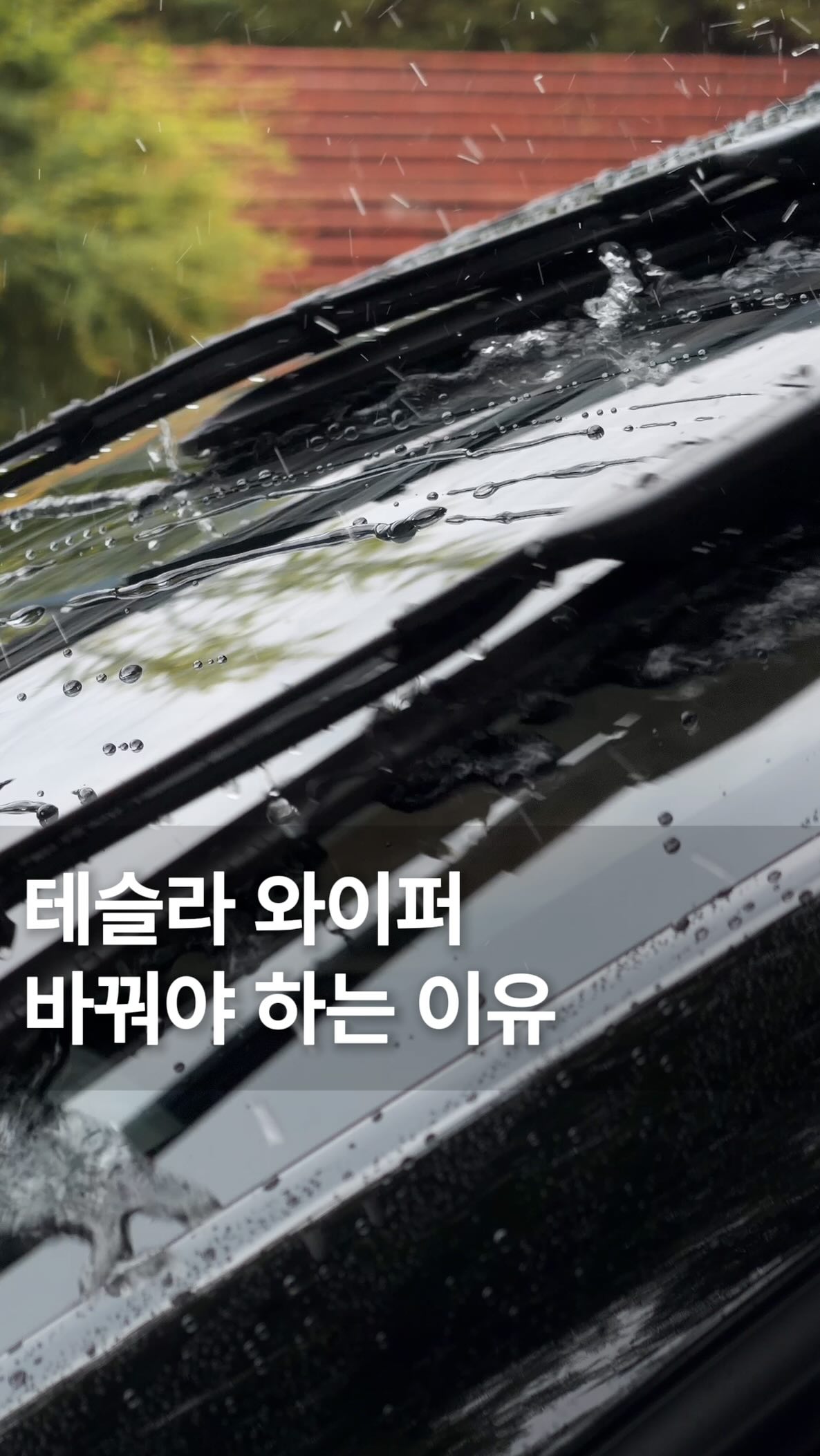 벤딕트 더비전 와이퍼 광고 영상