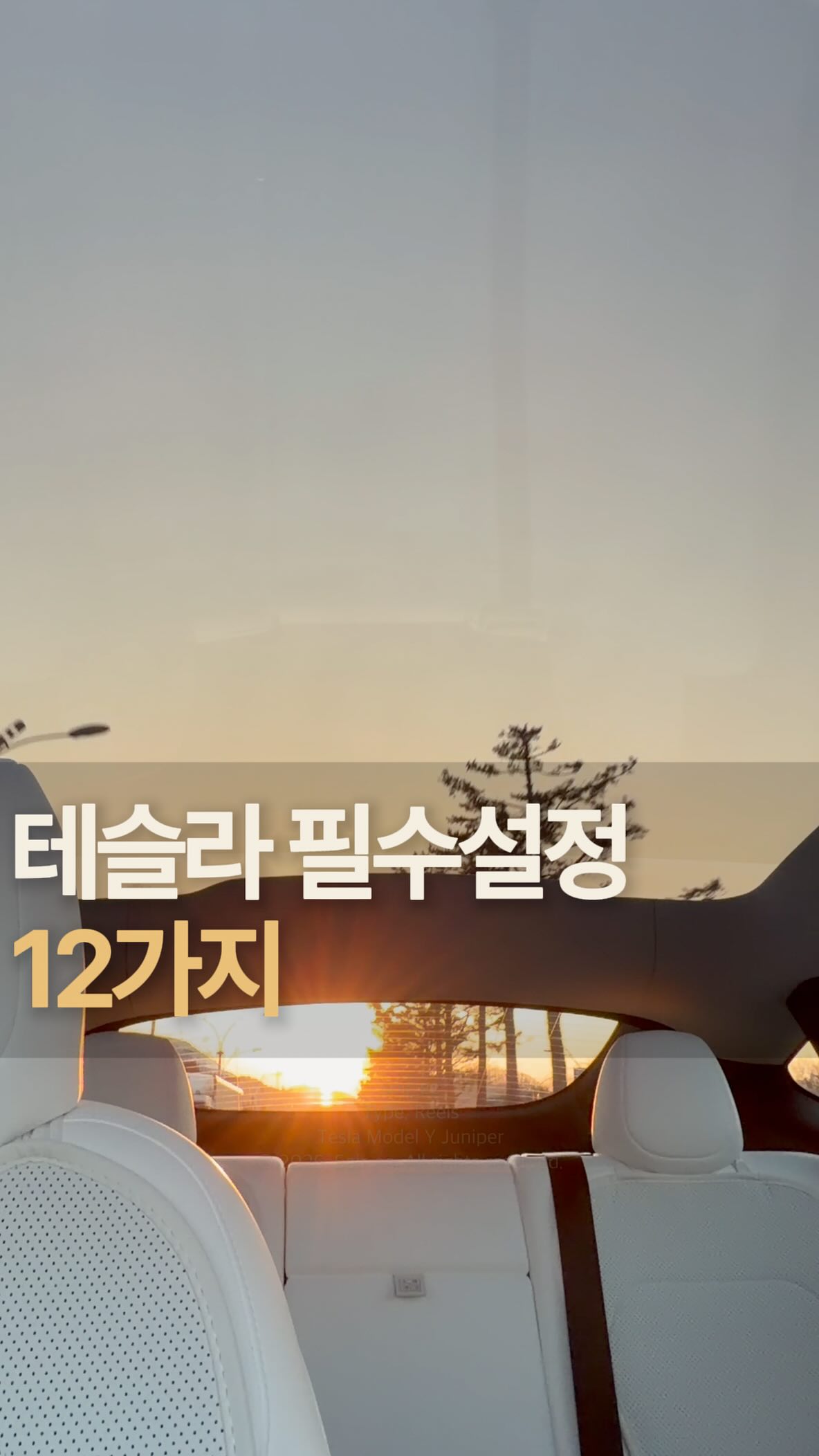 테슬라 필수 설정 릴스 표지